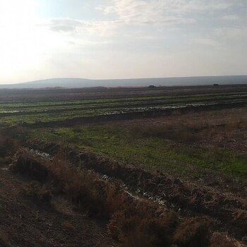 900 Sot torpaq sahəsi, Hacıqabul r. – Satılır – ucuztap.az