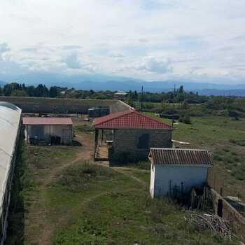 1600 Sot torpaq sahəsi, Lənkəran ş. – Satılır – ucuztap.az
