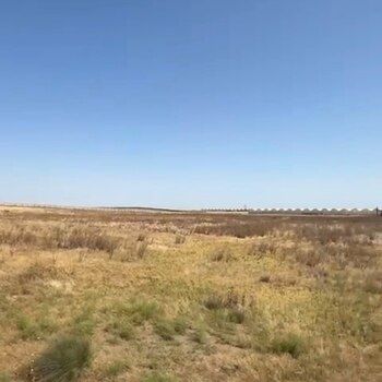 7000 Sot torpaq sahəsi, Zığ qəs. – Satılır – ucuztap.az