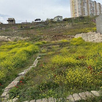 2 Sot torpaq sahəsi, Yeni Günəşli qəs. – Satılır – ucuztap.az