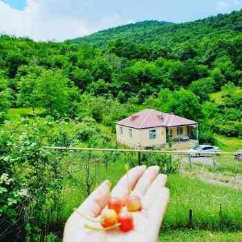 Bağ evi kirayə verilir, Göygöl r. – Kirayə – ucuztap.az