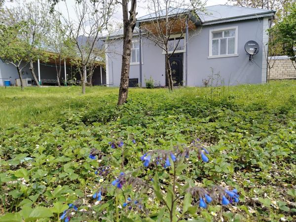 Bağ evi kirayə verilir, 90 m², Qəbələ – Kirayə – ucuztap.az