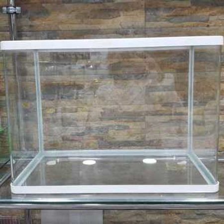 Akvarium – Akvarium – ucuztap.az