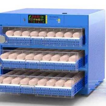 64 Tutumlu inkubator – Bakı – ucuztap.az