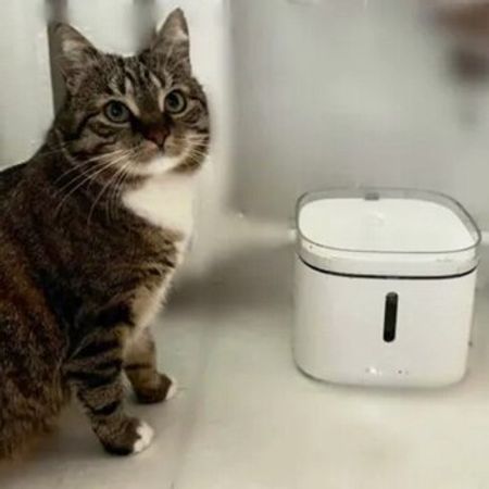 Xiaomi Smart Pet Fountain – Heyvanlar üçün məhsul – ucuztap.az