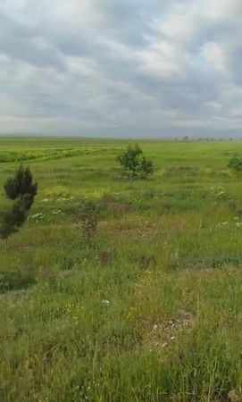Torpaq sahəsi, 5500 sot, Kənd təsərrüfatı təyinatlı, Çıxarışlı, Borsunlu kəndi, Goranboy – Goranboy – ucuztap.az