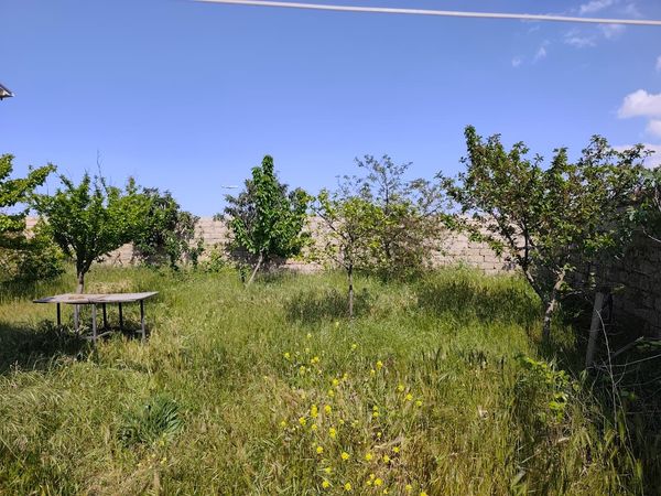 Bağ evi, 100 m², Maştağa qəs., Bakı – Bakı – ucuztap.az