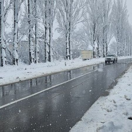 500 Sot torpaq sahəsi, Qusar ş. – Satılır – ucuztap.az