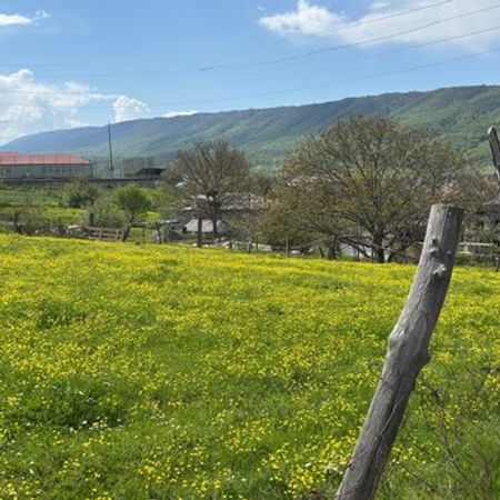10 Sot torpaq sahəsi, Xuray k. – Qusar – ucuztap.az