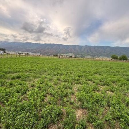 7,5 Sot torpaq sahəsi, Qusar r. – Qusar – ucuztap.az