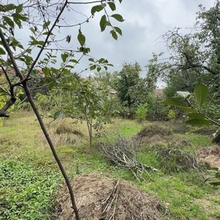 6 Sot torpaq sahəsi, Qusar r. – Qusar – ucuztap.az