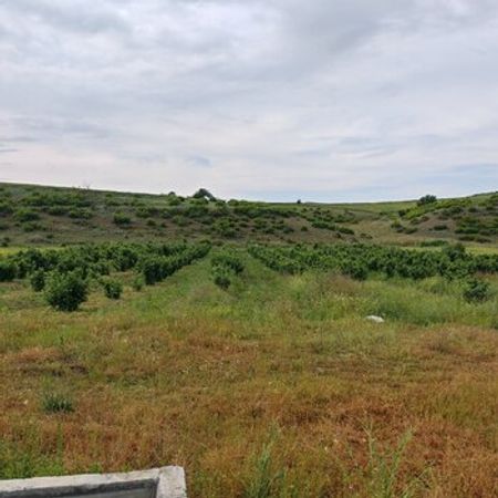 122 Sot torpaq sahəsi, Qusar r. – Qusar – ucuztap.az