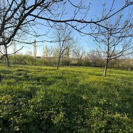 5 Sot torpaq sahəsi, Qusar r. – Qusar – ucuztap.az