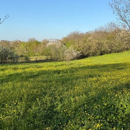 5 Sot torpaq sahəsi, Qusar r. – Qusar – ucuztap.az