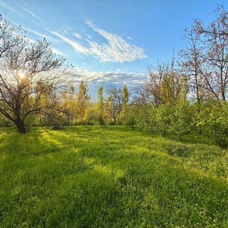 15 Sot torpaq sahəsi, Qusar r. – Qusar – ucuztap.az