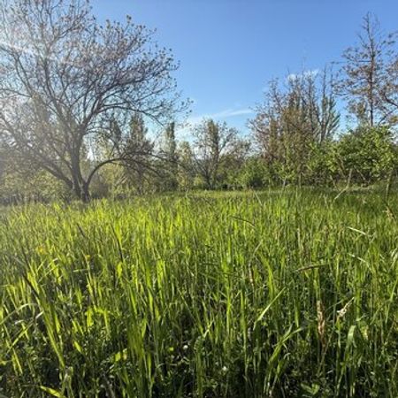 20 Sot torpaq sahəsi, Qusar r. – Qusar – ucuztap.az
