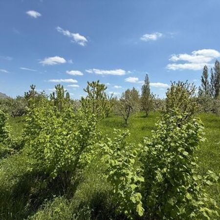 3 Sot torpaq sahəsi, Qusar r. – Qusar – ucuztap.az