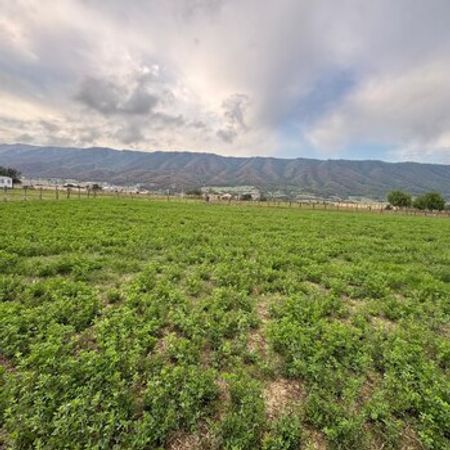 12 Sot torpaq sahəsi, Qusar r. – Qusar – ucuztap.az