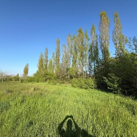 3 Sot torpaq sahəsi, Qusar r. – Qusar – ucuztap.az