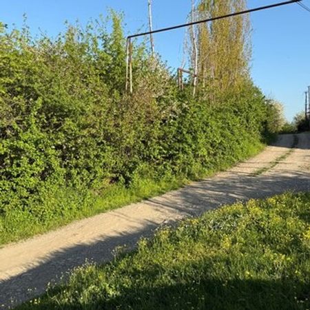 3 Sot torpaq sahəsi, Qusar r. – Qusar – ucuztap.az