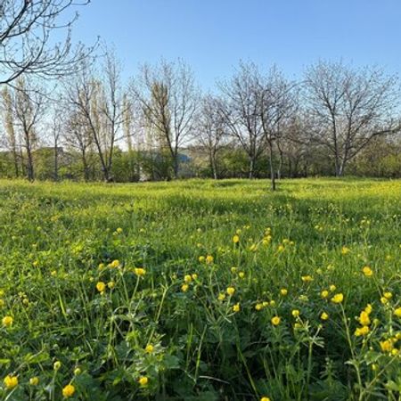 8 Sot torpaq sahəsi, Qusar r. – Qusar – ucuztap.az