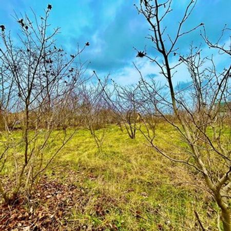 7 Sot torpaq sahəsi, Qusar r. – Qusar – ucuztap.az
