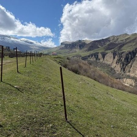 Земельный участок 20 сот, Аладаш – Qusar – ucuztap.az