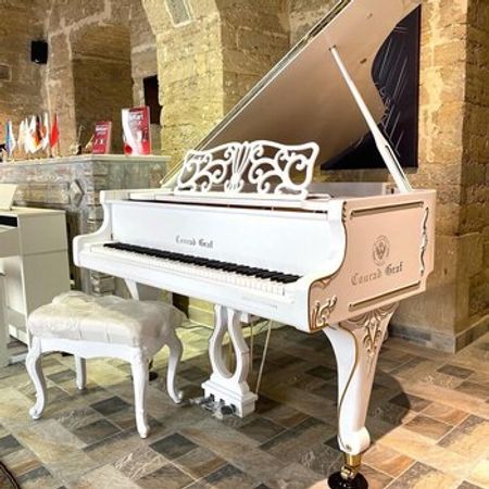Royal Conrad Graf Rokoko – Musiqi alətləri – ucuztap.az