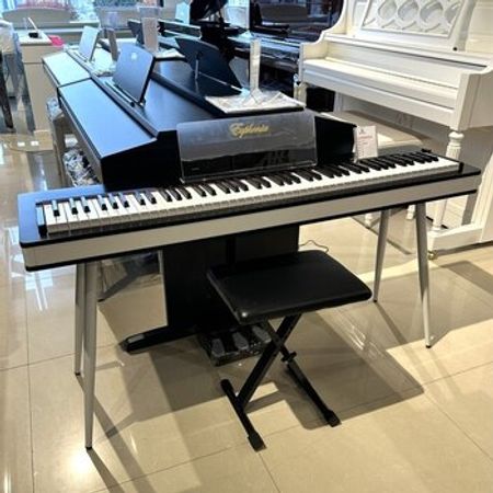 Elektro piano EUPHONIA SY E112 – Musiqi alətləri – ucuztap.az