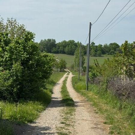 12 Sot torpaq sahəsi, Qusar r. – Torpaq – ucuztap.az