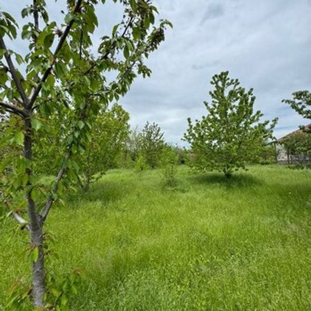 24 Sot torpaq sahəsi, Balaqusar kəndi – Torpaq – ucuztap.az