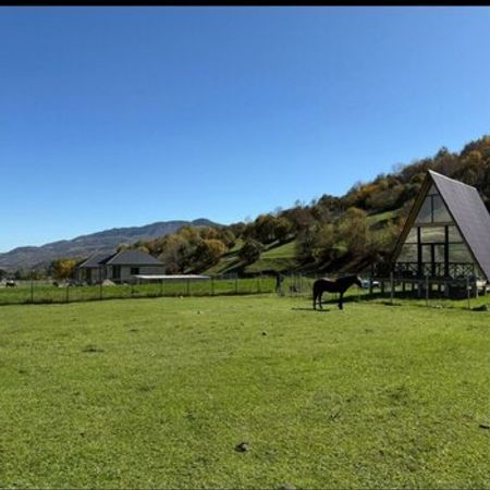 10 Sot torpaq sahəsi, Qusar r. – Torpaq – ucuztap.az