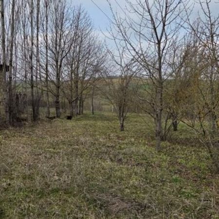 12 Sot torpaq sahəsi, Qusar r. – Qusar – ucuztap.az