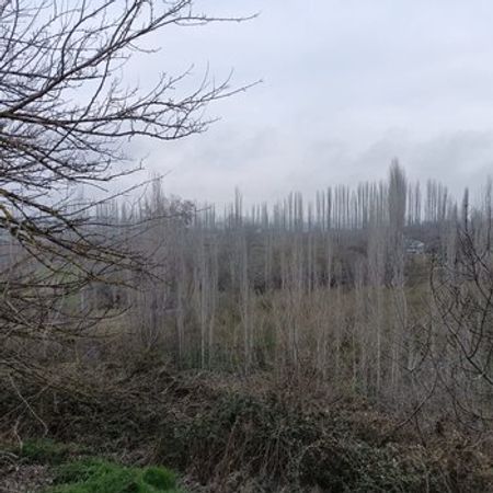 Həyət evi, Qusar r. – Villalar, bağ evləri – ucuztap.az