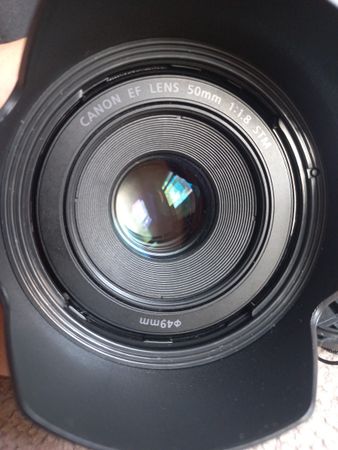Canon 6d Mark2 – Bakı – ucuztap.az