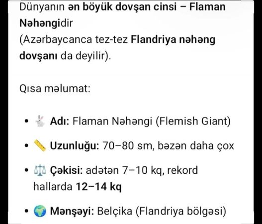 Flandr Dovşanı – Bakı – ucuztap.az