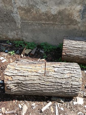 Kötük – İmişli – ucuztap.az