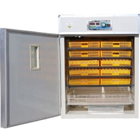 İnkubator – Biznes üçün avadanlıq – ucuztap.az