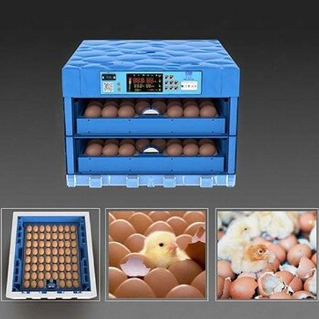 İnkubatorlar – Biznes üçün avadanlıq – ucuztap.az