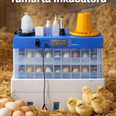 İnkubator – Biznes üçün avadanlıq – ucuztap.az