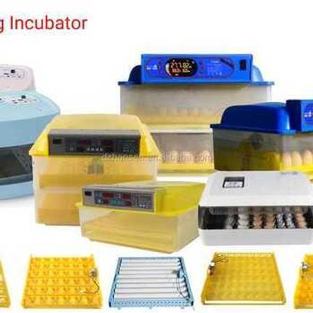 İnkubator EXPERT – Biznes üçün avadanlıq – ucuztap.az
