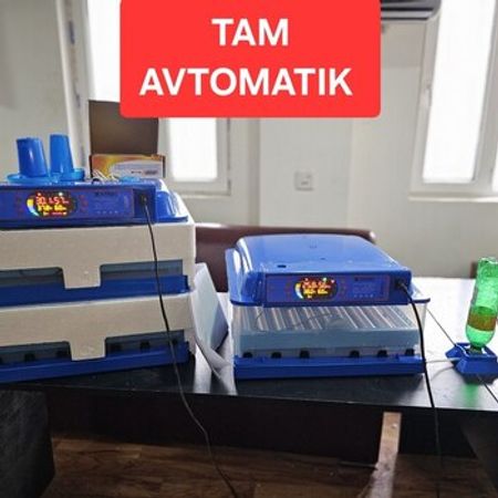 İnkubator Expert – Biznes üçün avadanlıq – ucuztap.az