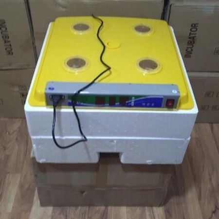 İnkubator – Biznes üçün avadanlıq – ucuztap.az