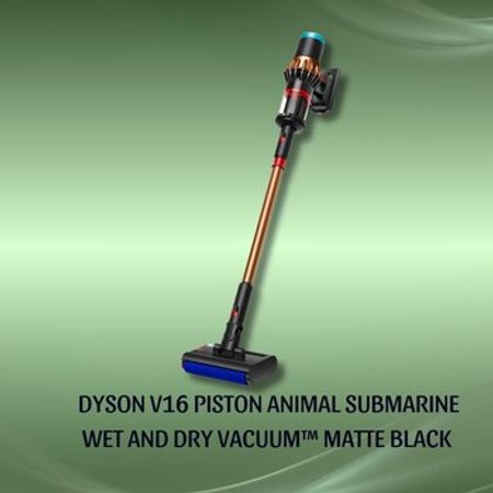 Tozsoran Dyson V16 Piston Animal Submarine Wet and Dry Vacuum – Tozsoranlar – ucuztap.az