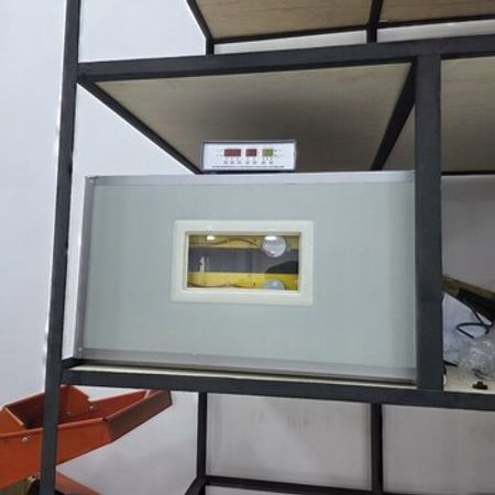 Zavod istehsalı inkubatorlar – Bakı – ucuztap.az