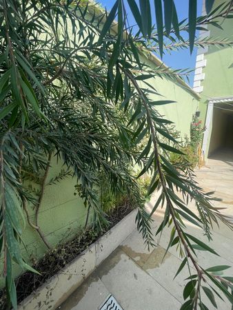 Bağ evi, 160 m², Binəqədi qəs, DSK yolu, Mədən 1, Korpus 15, Ev 25, Bakı – Villalar, bağ evləri – ucuztap.az