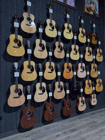 Peşəkar gitara – Bakı – ucuztap.az