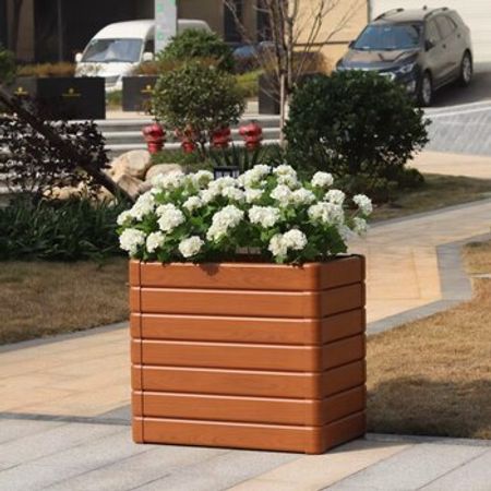 Dekorativ dibçəklər – Bitkilər – ucuztap.az