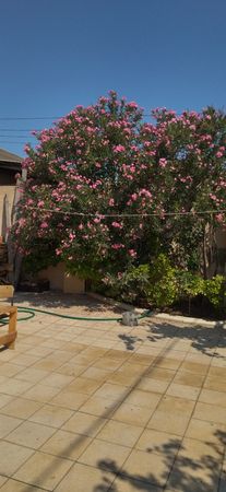 Bağ evi, 95 m², Xətai r., Bakı – Bakı – ucuztap.az