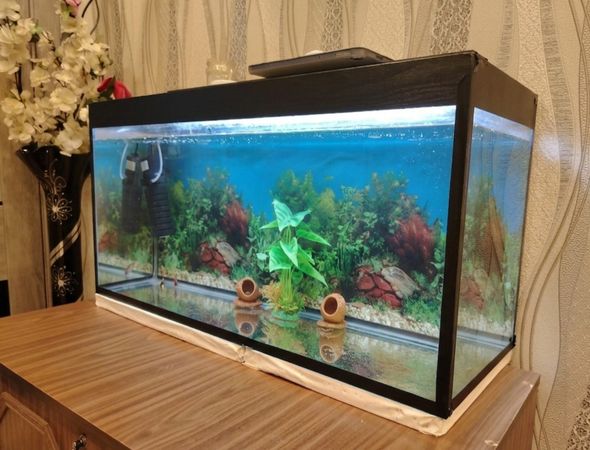 Akvarium 100 lt – Bakı – ucuztap.az